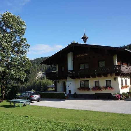 Gastehaus Soldanella Hotel Ramsau am Dachstein Exterior photo